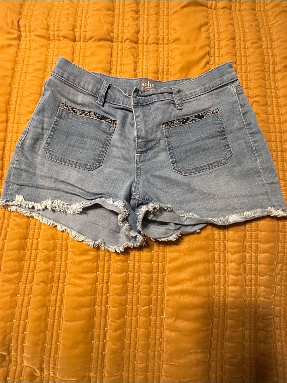 New York & Company Light Blue Denim Cutoff Shorts with Frayed Hem